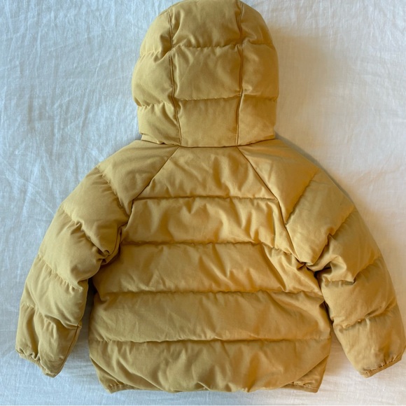 Patagonia Kids' Cotton Down Jacket, Beewax Tan - Picture 5 of 9
